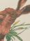 damske-tricko-scotch--soda_10053_27047.jpg