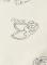 damske-vysivane-teplaky-scotch--soda_11655_36731.jpg