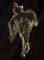 lurexove-maxi-saty--scotch--soda_9112_21624.jpg