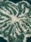 panska-bunda-polar--scotch--soda_8881_20588.jpg