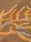 panska-kosile--scotch--soda_7842_15723.jpg
