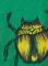 panske-tricko-scotch--soda_7273_13605.jpg