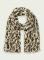 saty--scotch--soda_6856_11601.jpg