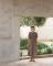 saty-yerse_9482_25320.jpg