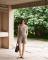 sortky-len-yerse_9370_25466.jpg